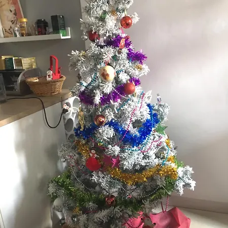 Apartament Genial *