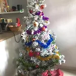 Apartamento Génial